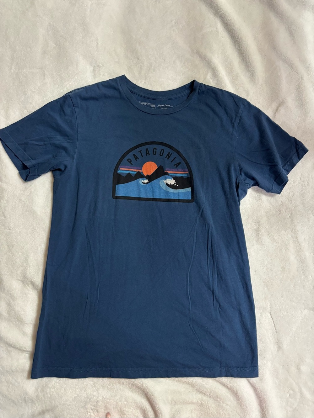 Patagonia Navy Graphic Crewneck Tee with Sunset Logo